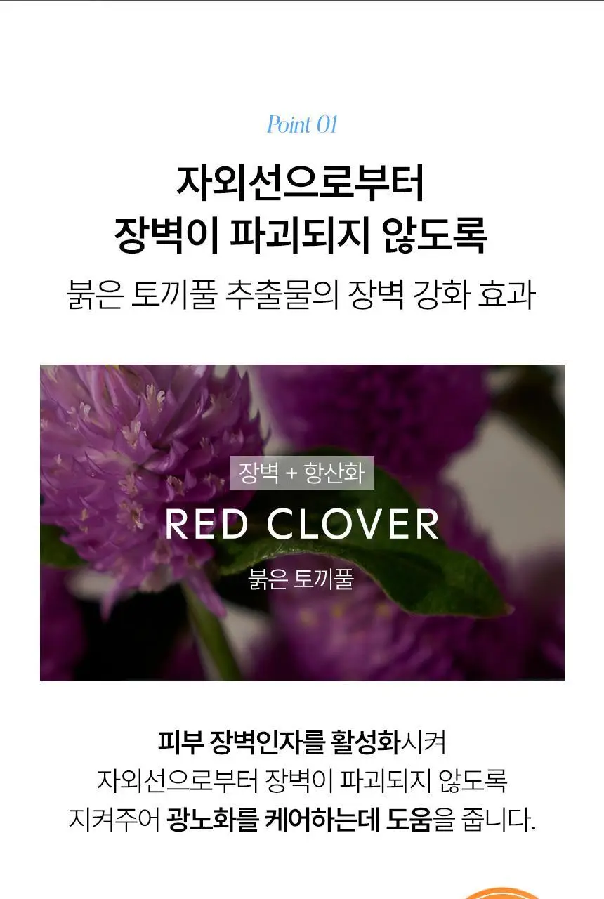 [광노화선케어] 샤이샤이샤이 인조이 더 선 유브이 프로텍션 크림 SPF50+ PA++++ 50ml 상세페이지 8